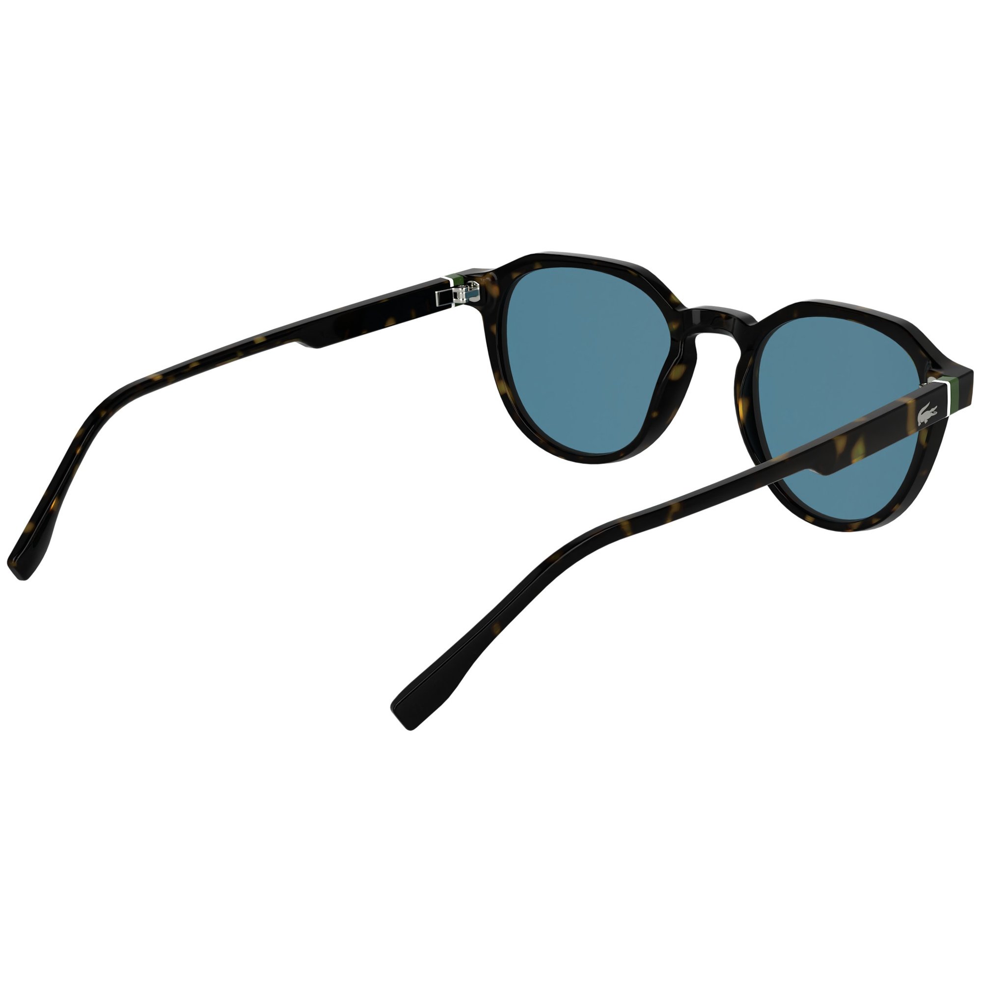 Óculos de Sol Lacoste L6052S N214 - Marrom Havana 51 Marrom 6