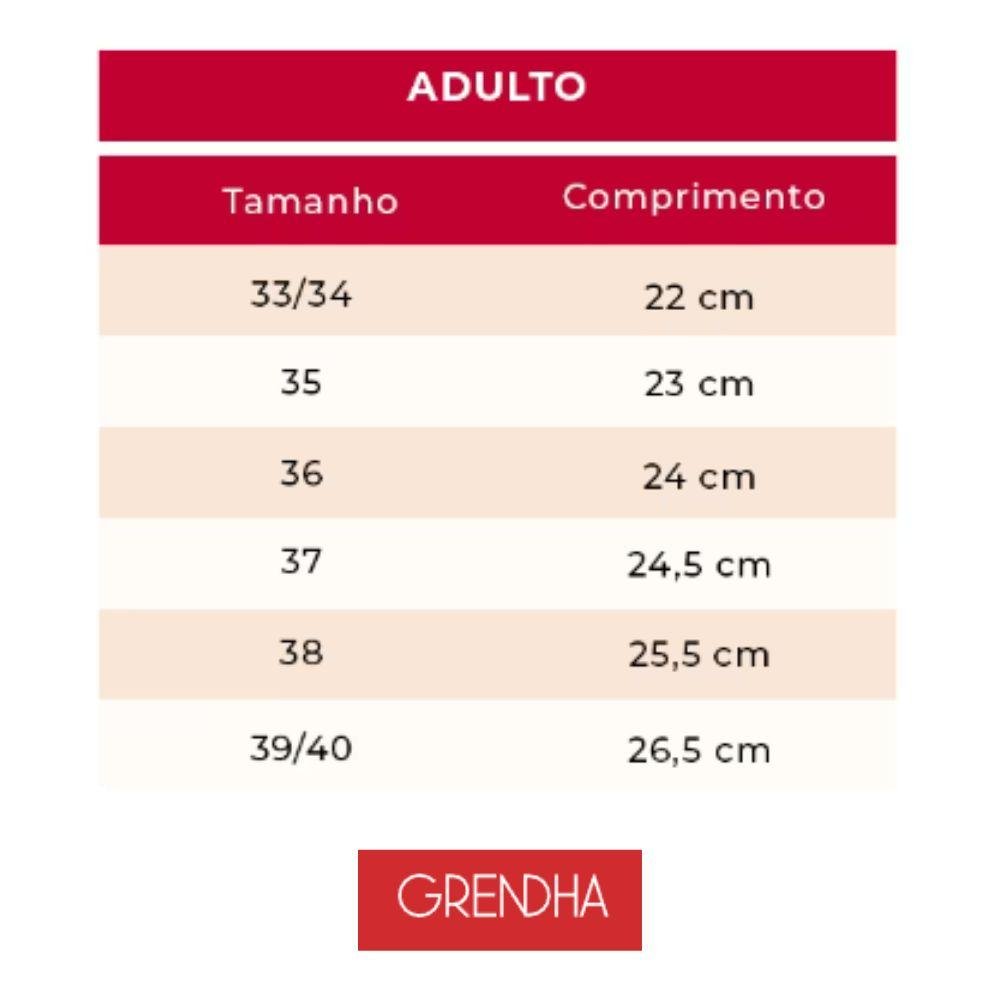 Sandália Grendha Casual Rasteira Feminina Preto 5