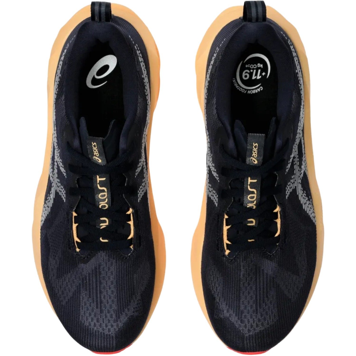Tênis Asics Novablast 5 Masculino Preto 5