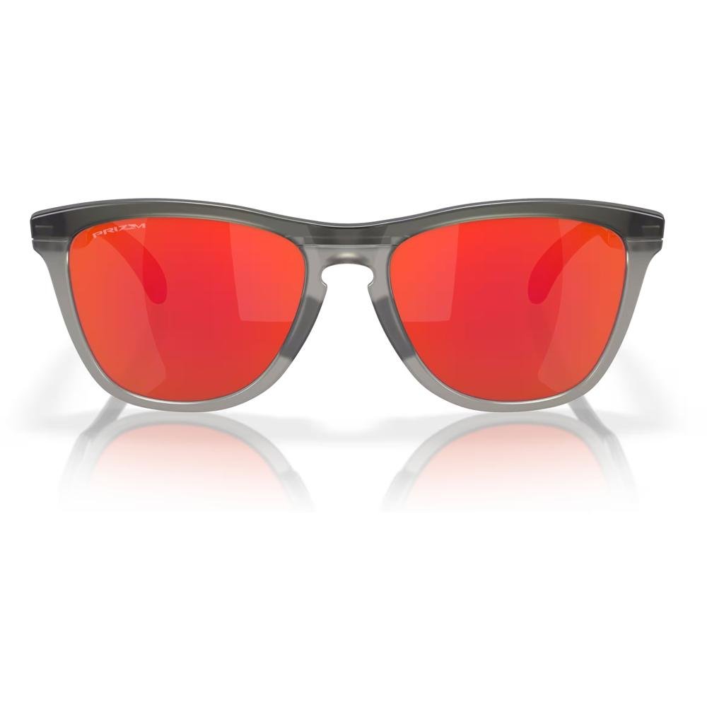 Óculos de Sol Oakley Frogskins Matte Grey Smoke/Grey Ink Multicores 5