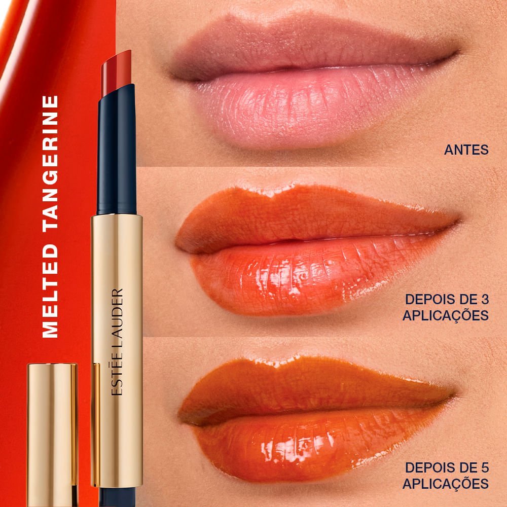 Gloss em Bastão Estée Lauder Pure Color Melt On 890 Melted Tangerine 3