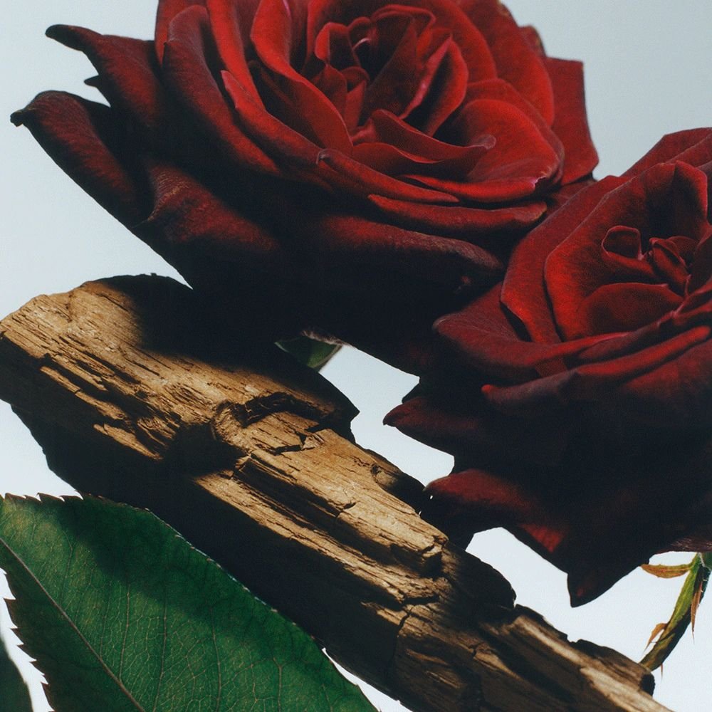 Creme Hidratante Corporal Jo Malone London - Velvet Rose & Oud 200ml 2