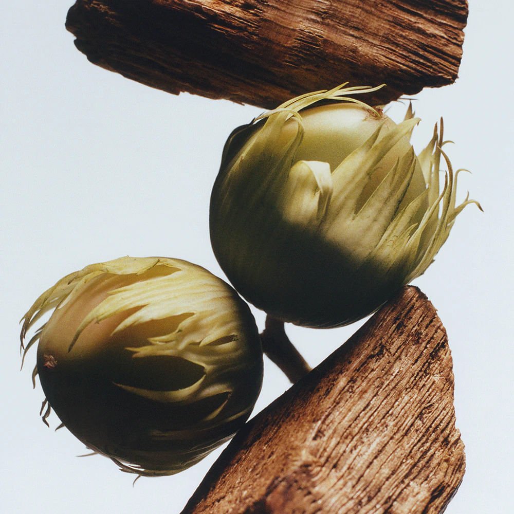 Colônia English Jo Malone London - Oak & Hazelnut 9ml 9ml 2