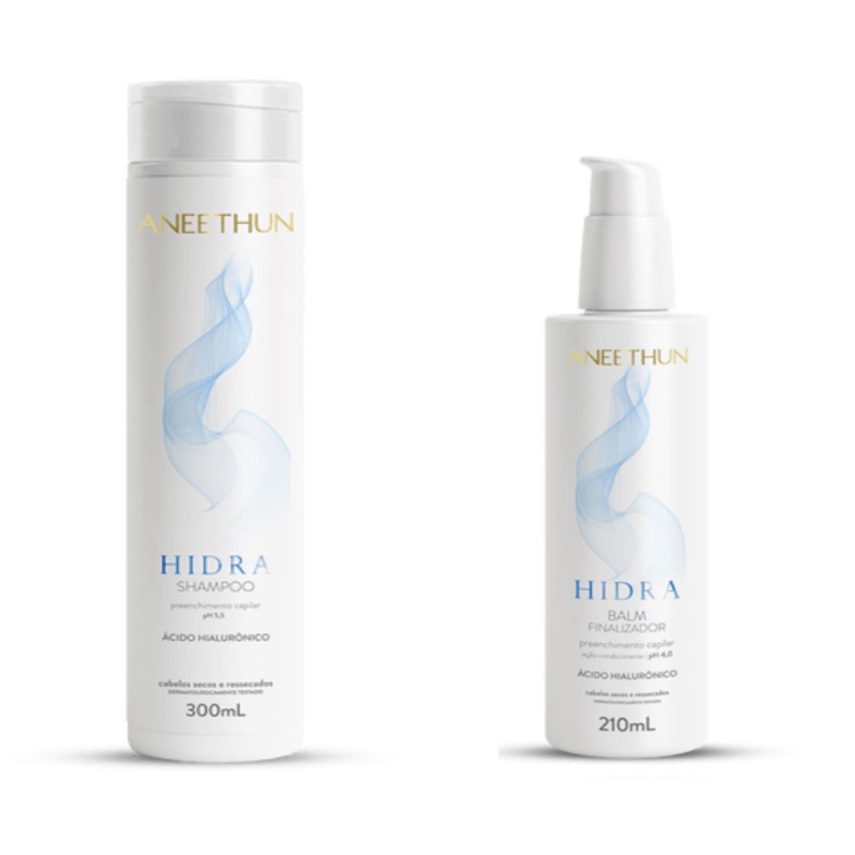 Kit Aneethun SH Hidra 300ml + Balm Finalizador Hidra 210ml ÚNICO 1