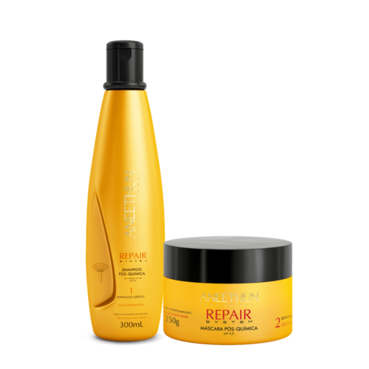 Kit Aneethun Repair System Shampoo 300ml + Máscara 250g ÚNICO 1