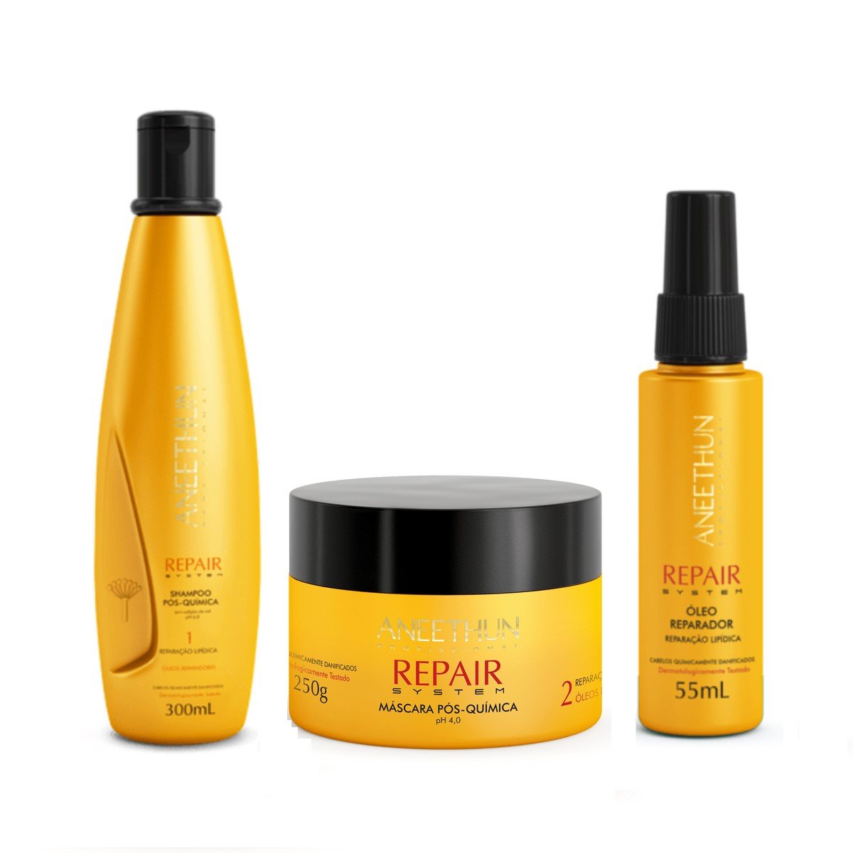 Kit Aneethun Repair System Shampoo + Máscara + Óleo Rep ÚNICO 1