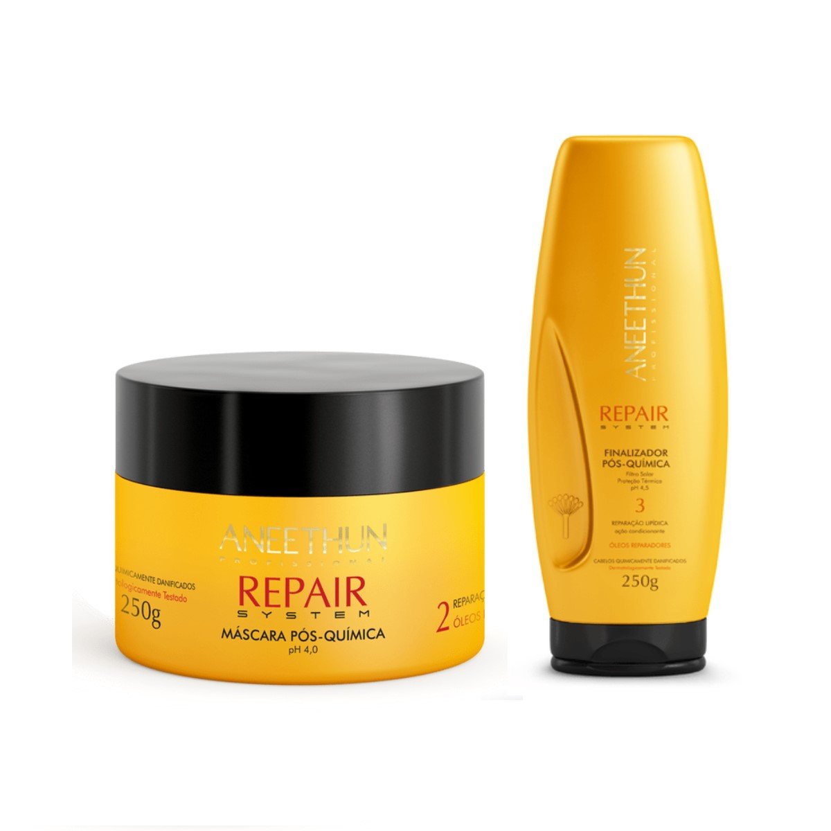 Kit Aneethun Repair System Máscara 250g + Finalizador 250g ÚNICO 1