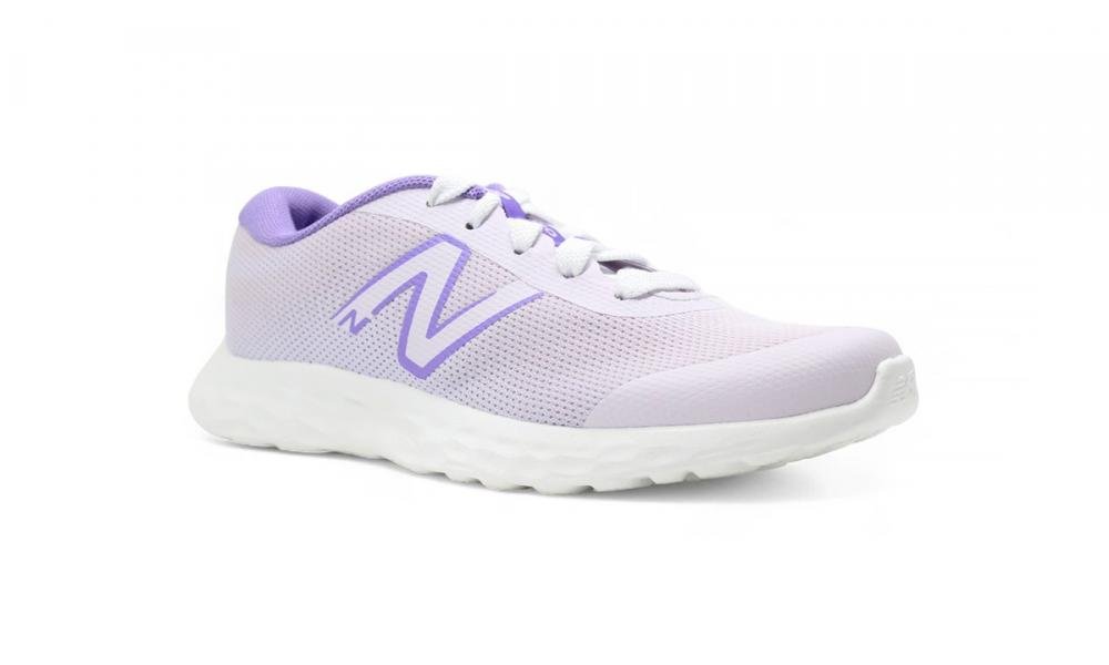 Tenis New Balance 520v8 infantil - unissex Roxo 2