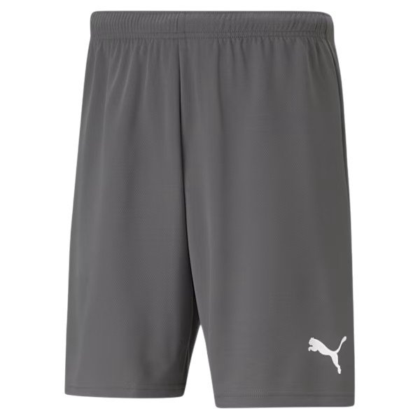 Bermuda Puma Teamrise Short Smoked Pearl