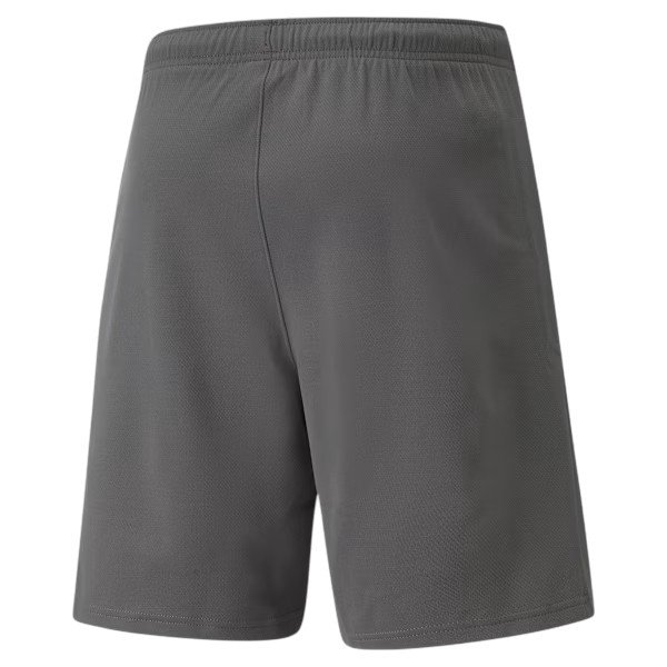 Bermuda Puma Teamrise Short Smoked Pearl Cinza 2