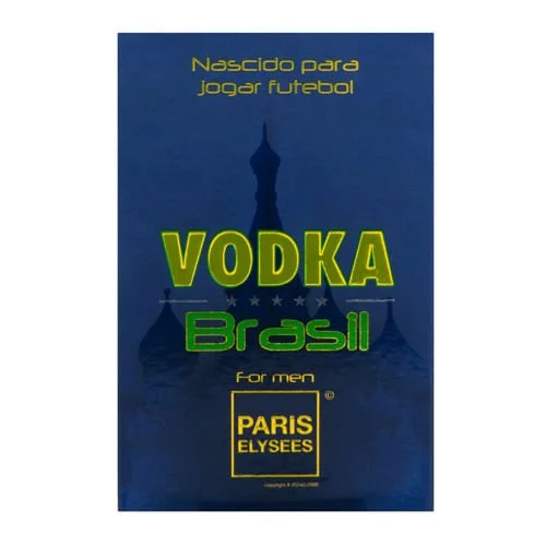Vodka Brasil Blue Paris Elysees - Perfume Masculino - Eau de Toilette 100ml 2