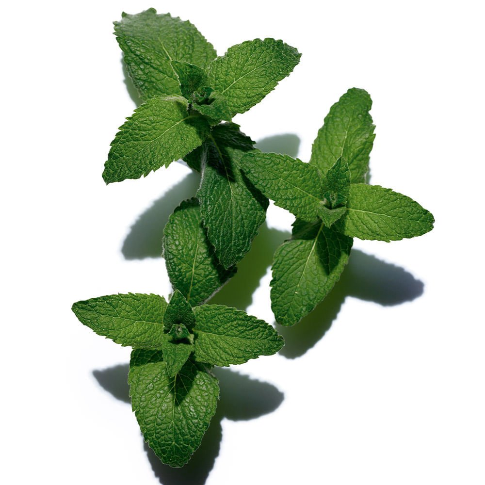 Tônico Corporal Clarins Huile Tonic 100ml 3