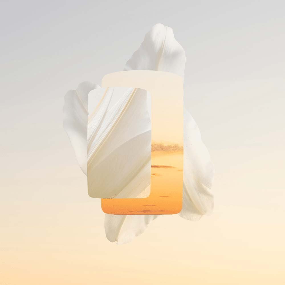 Baiser Volé Cartier - Perfume Feminino - Parfum 50ml 6
