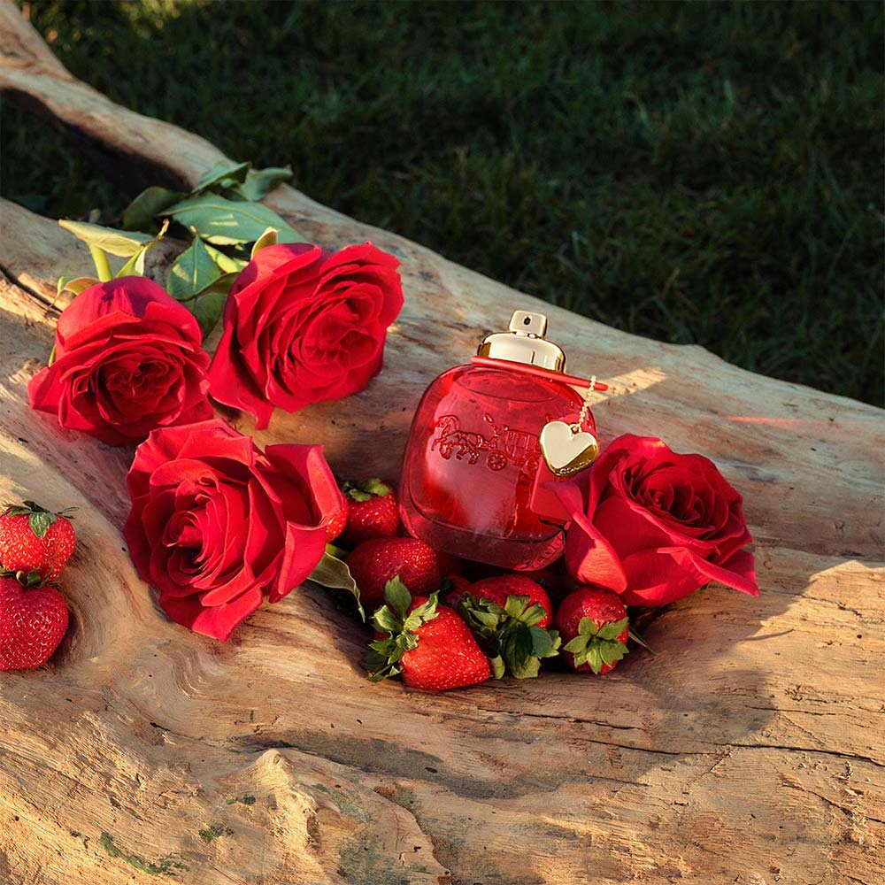 Coach Love Perfume Feminino Eau de Parfum 30ml 5