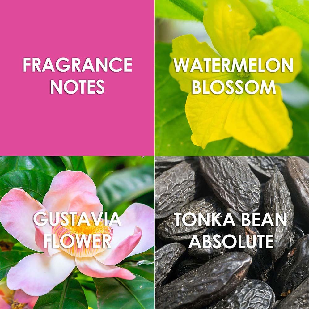 Jungle Fantasy Britney Spears Perfume Feminino Eau de Toilette 100ml 5