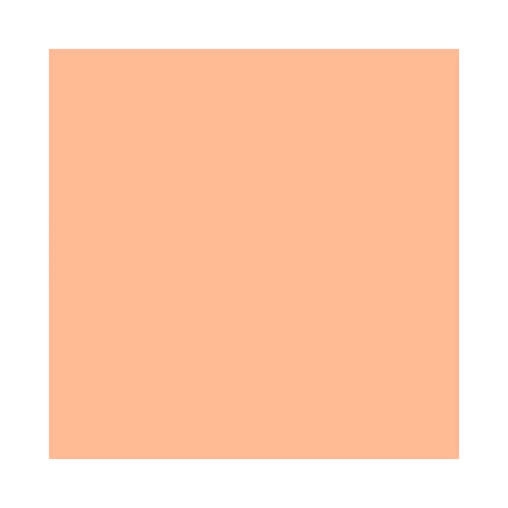 Mantecorp Skincare Episol Kit com 3 Unidades – Protetor Solar com Cor FPS70 – Clara 40ml Claro 2