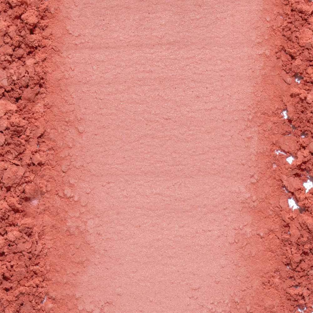 Blush em Pó wet n wild Color Icon 6g Bed of Roses 2