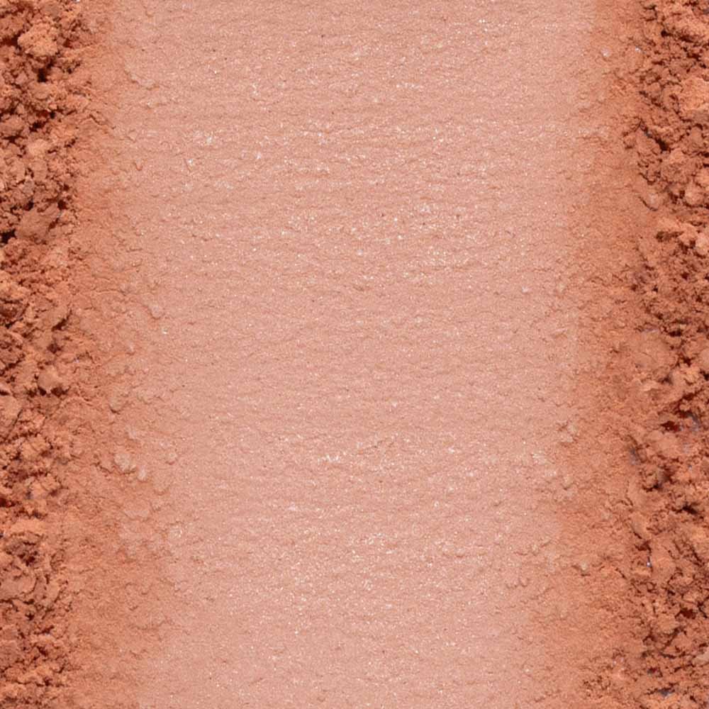 Blush em Pó wet n wild Color Icon 6g Naked Brown 2