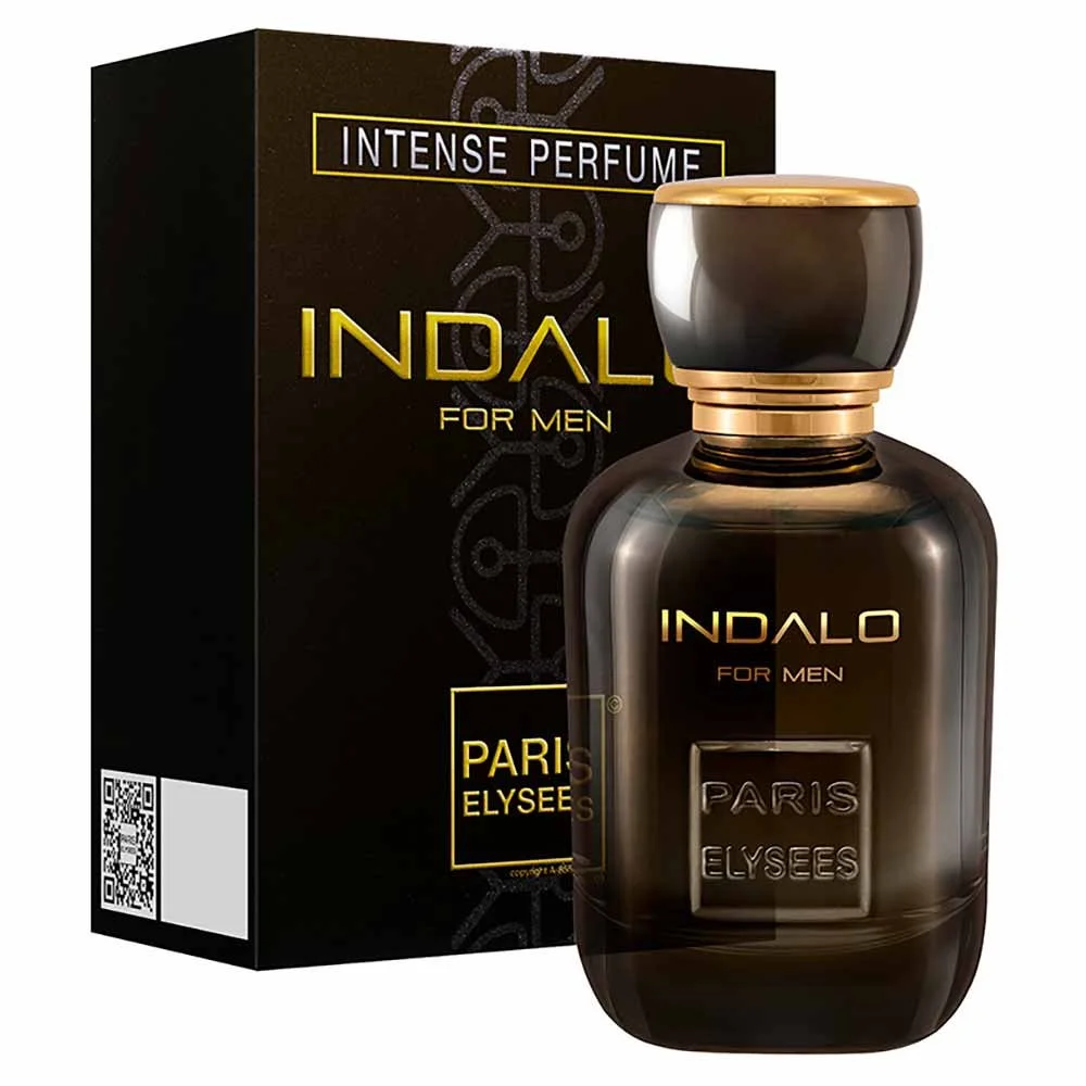 Perfume Indalo Paris Elysees Masculino Eau De Toilette 100ml 2
