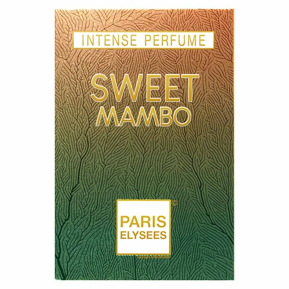 Perfume Vodka Prime Paris Elysees Masculino Eau de Toilette 100ml 2
