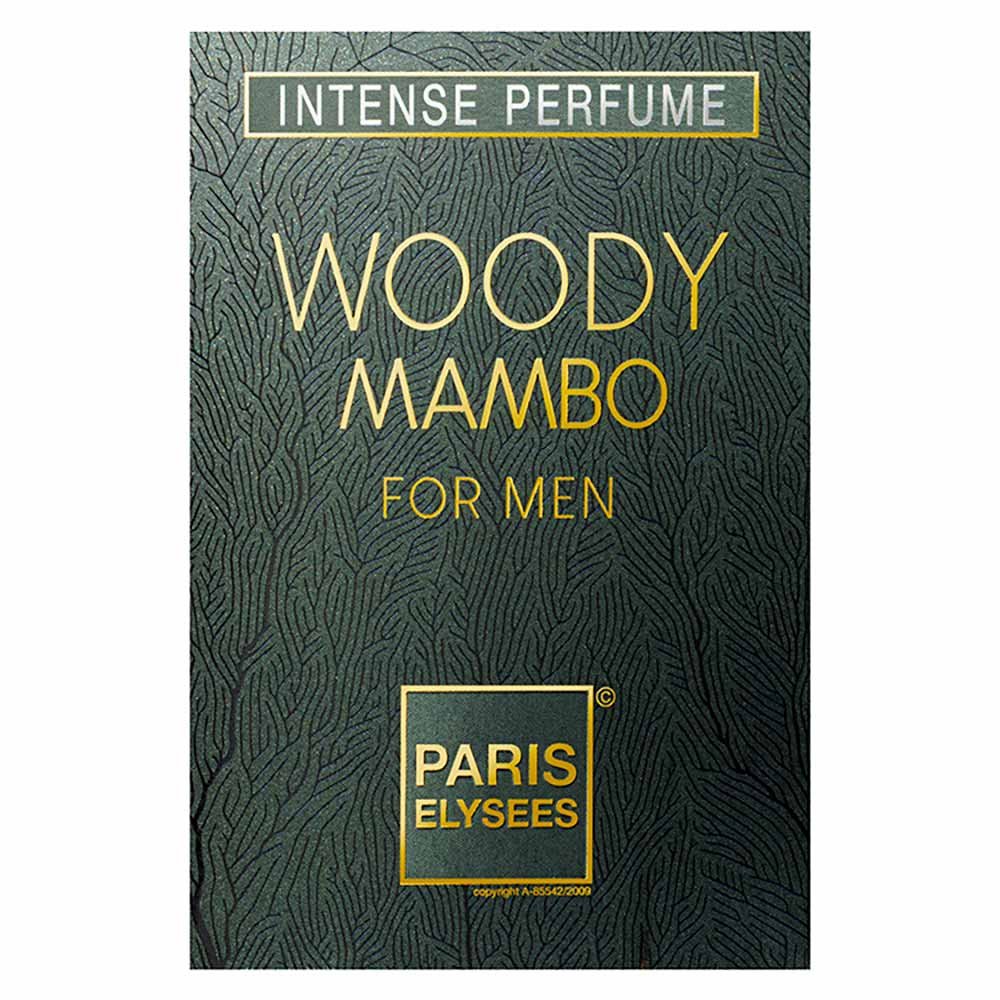 Perfume Paris Elysees Woody Mambo Masculino Eau de Toilette 100ml 2