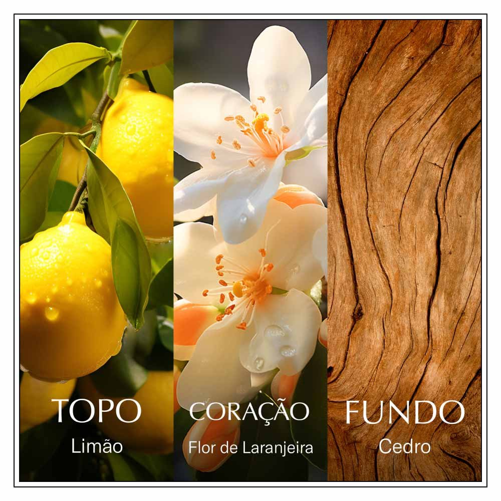 Perfume Chanson D'eau Lemon Feminino Eau de Toilette 100ml 4