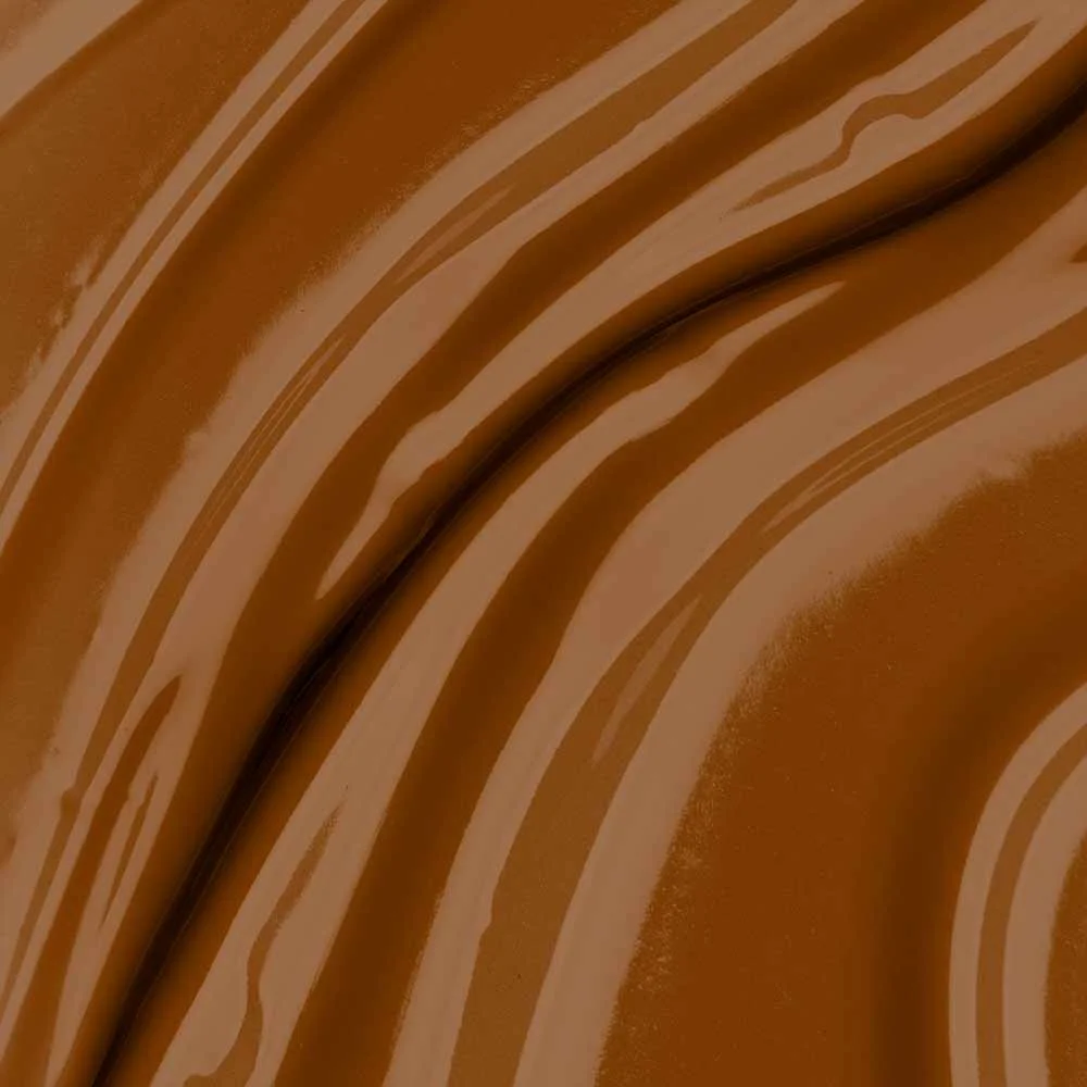 Protetor Solar Stick Clareador Biosole E Plus Ultra Vitamin FPS 99 Com Cor 65 Cacau 2