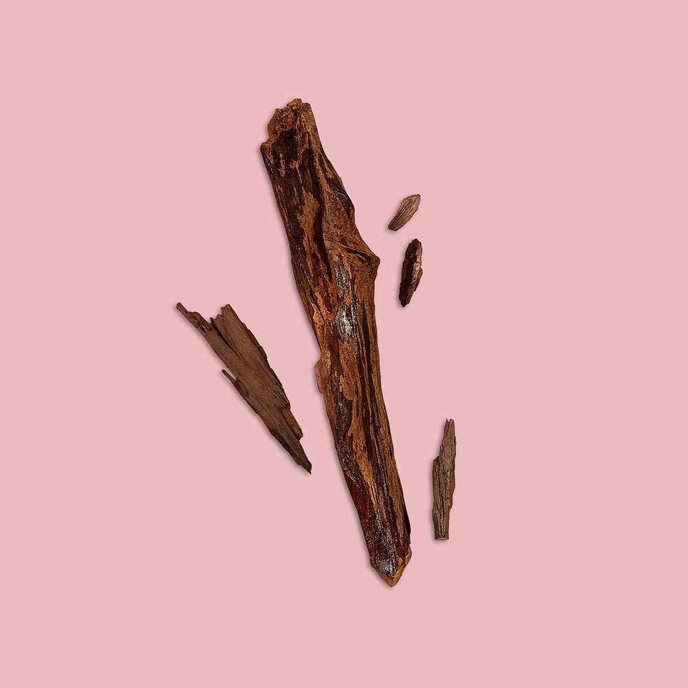 Perfume Flora Gorgeous Gardenia Gucci Eau de Parfum Intense 50ml 7