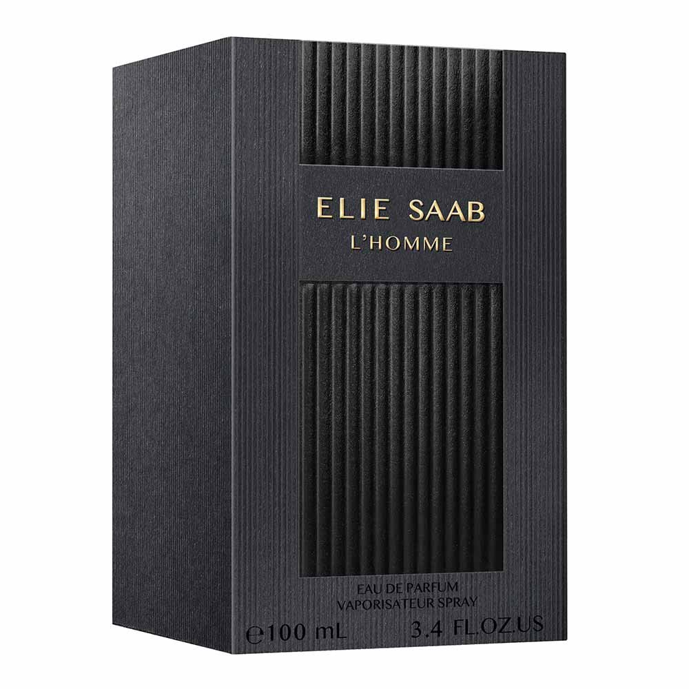 Perfume L Homme Elie Saab Masculino Eau de Parfum 100ml 3