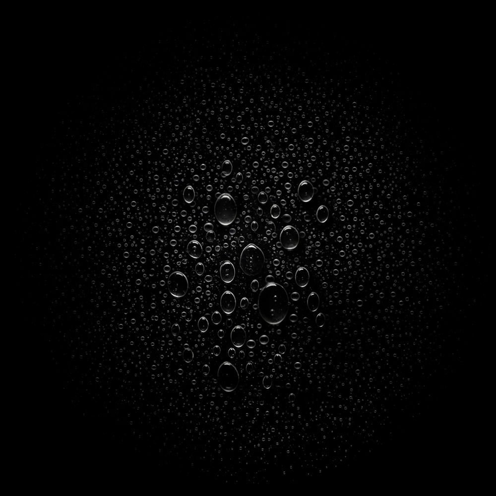 Spray Leave In Sebastian No Breaker 100ml 7