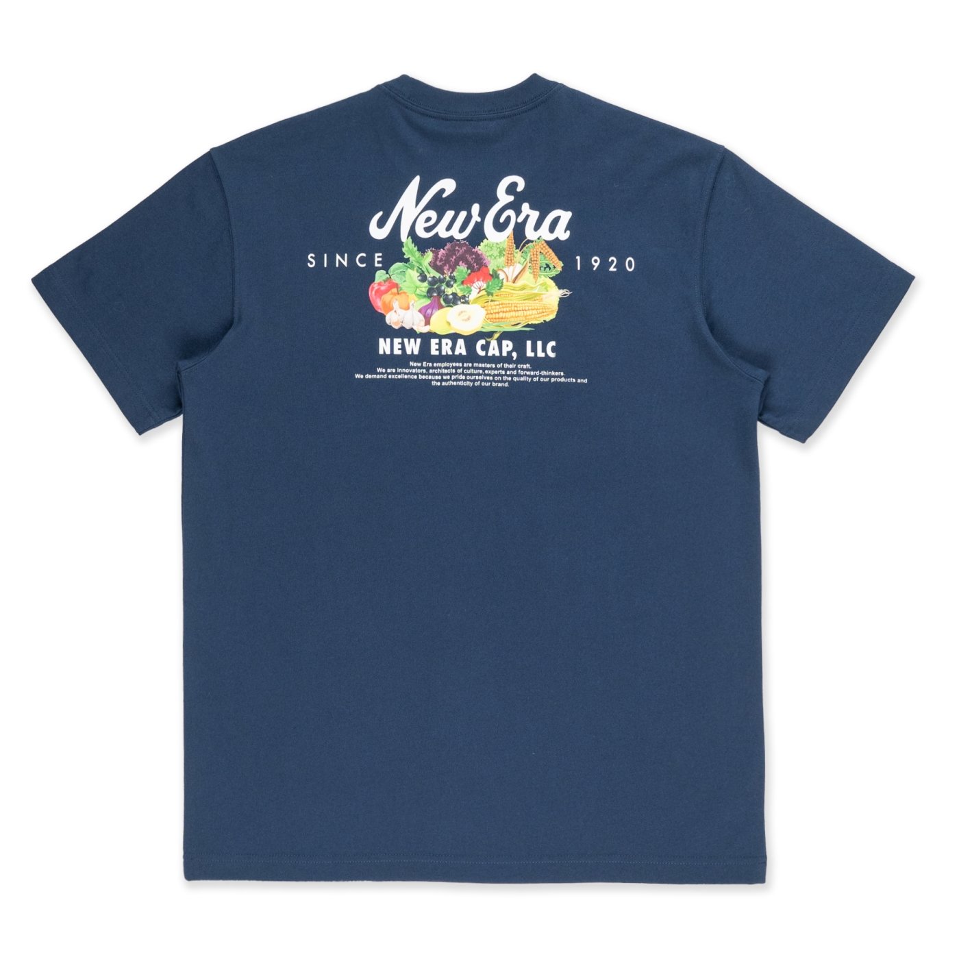 Camiseta New Era Lifestyle Branded Azul Azul 2