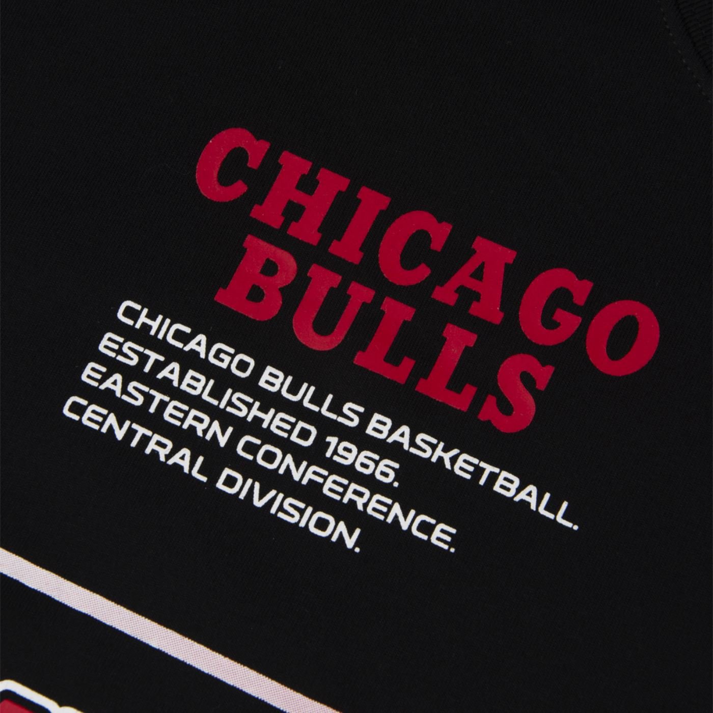 Camiseta New Era Oversize Chicago Bulls NBA Preto Preto 4