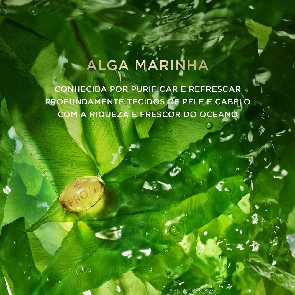 Shampoo Pantene Equilíbrio Raiz E Pontas 510ml 510ml 3