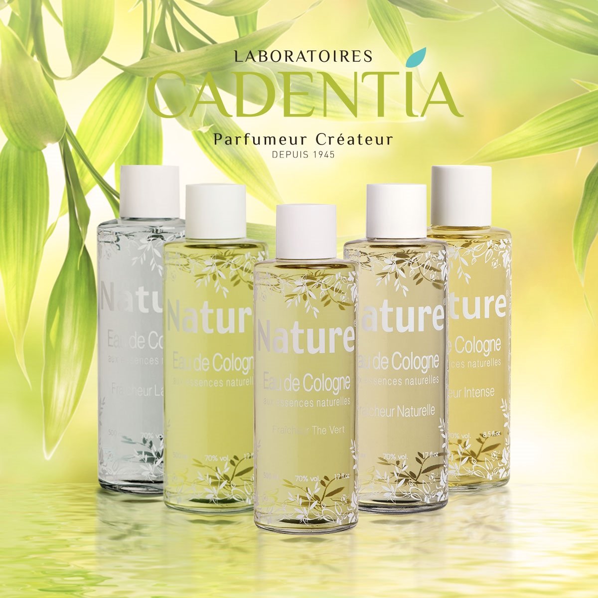 Perfume Cadentia Nature Fraicheur Fleur de Cerisier - Eau de Cologne 500ml 2