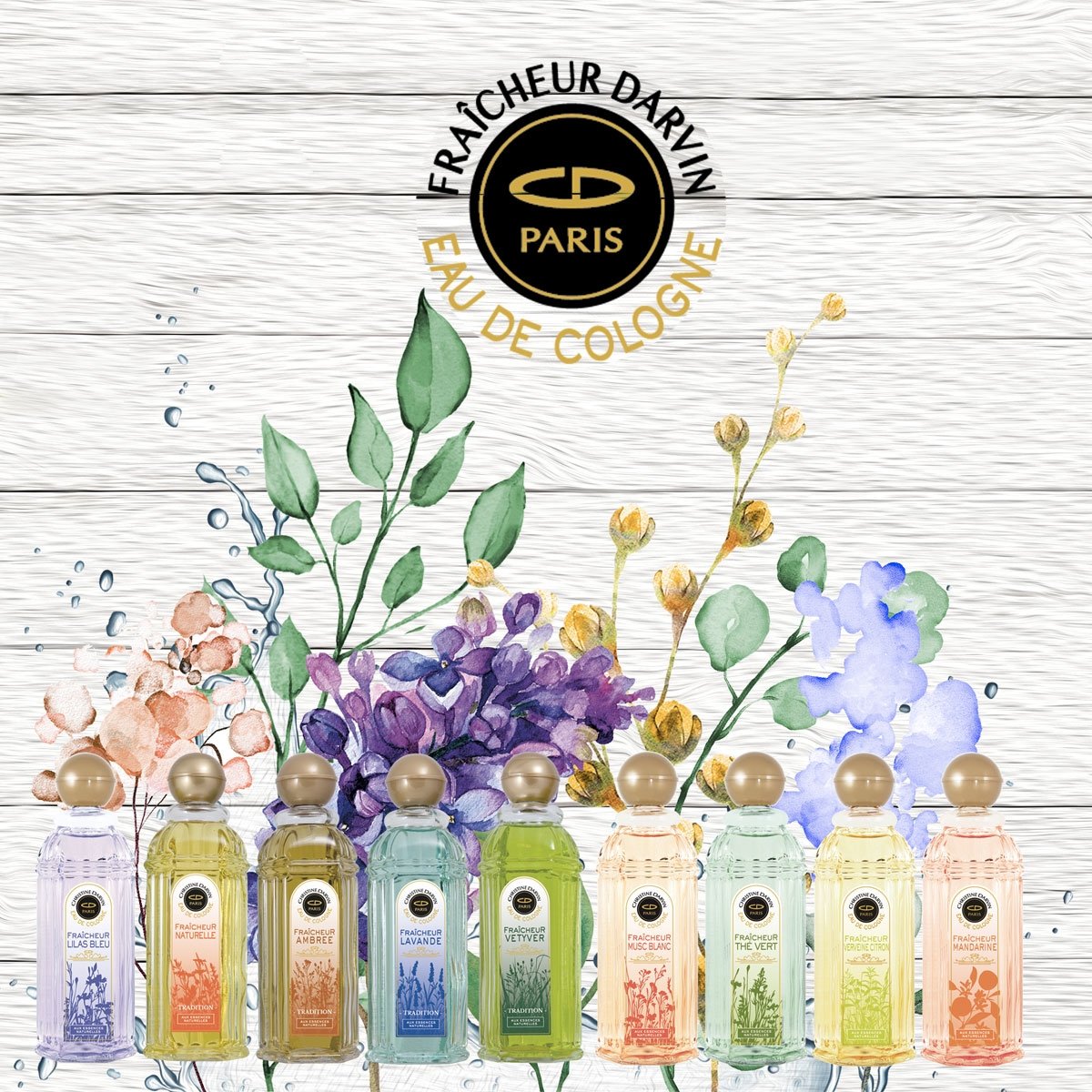 Perfume Christine Darvin Fraicheur Mandarine - Eau de Cologne 250ml 2