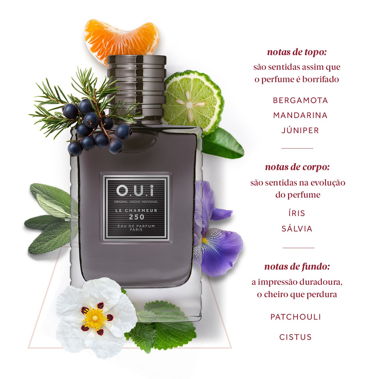 O.U.i Le Charmeur Eau de Parfum 75ml 75ml 4