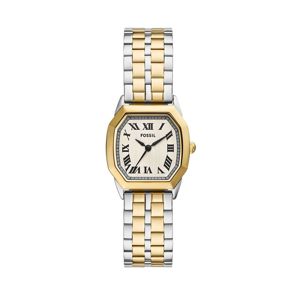 Relógio Fossil Feminino Bicolor - ES5362/1DN