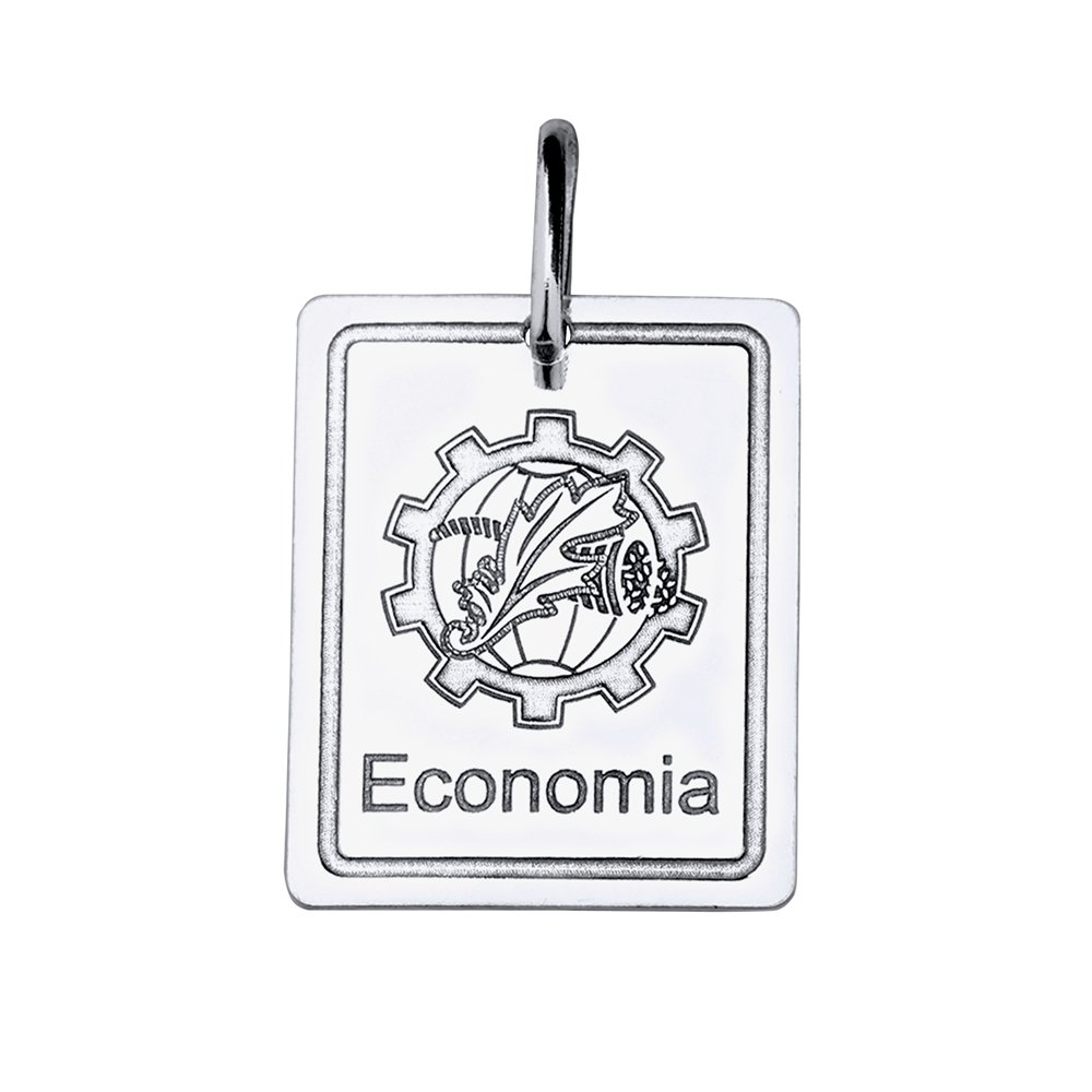PINGENTE PRATA PLACA PROFISSÃO ECONOMIA Prata 2
