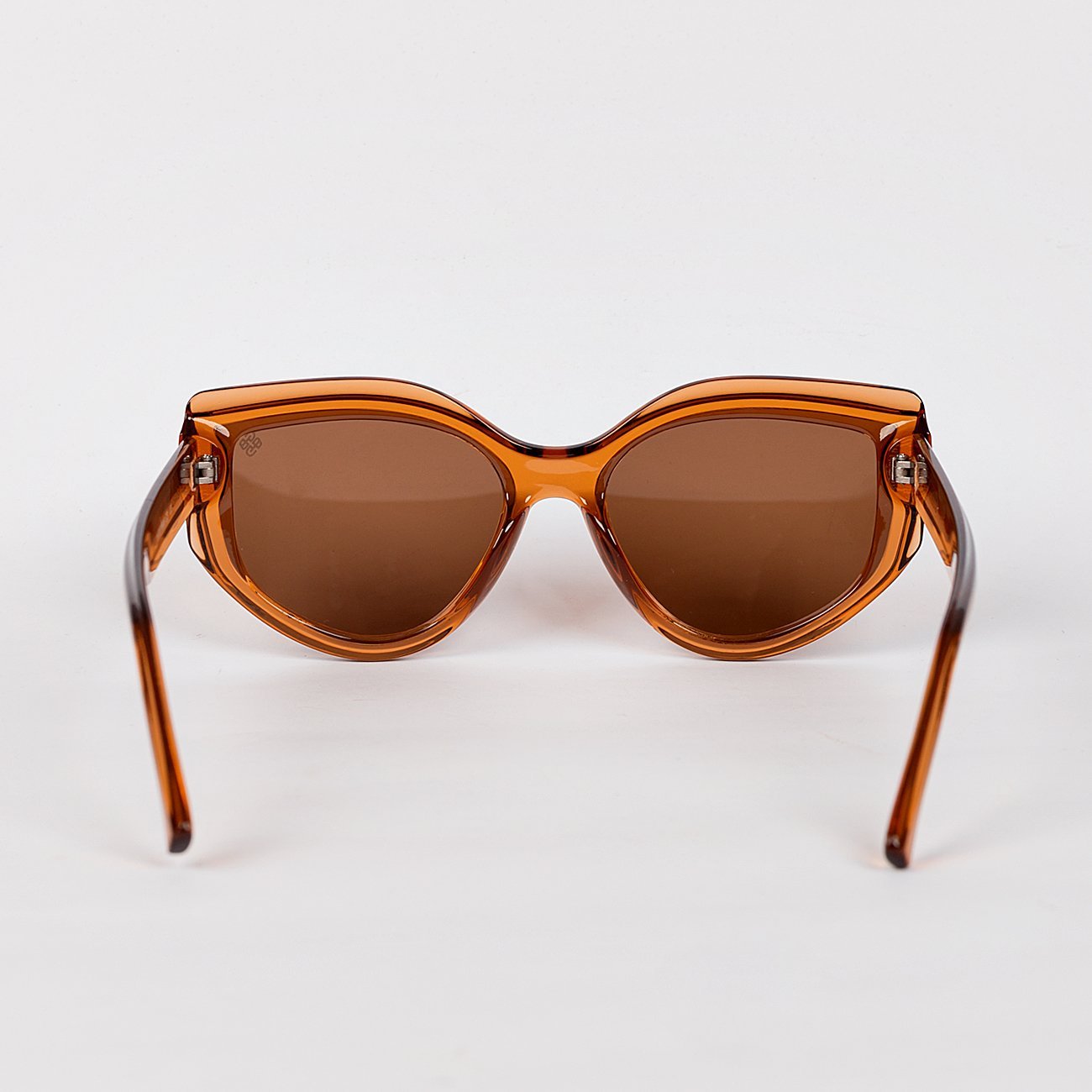 Óculos de sol Pamela Arredondado Marrom 4