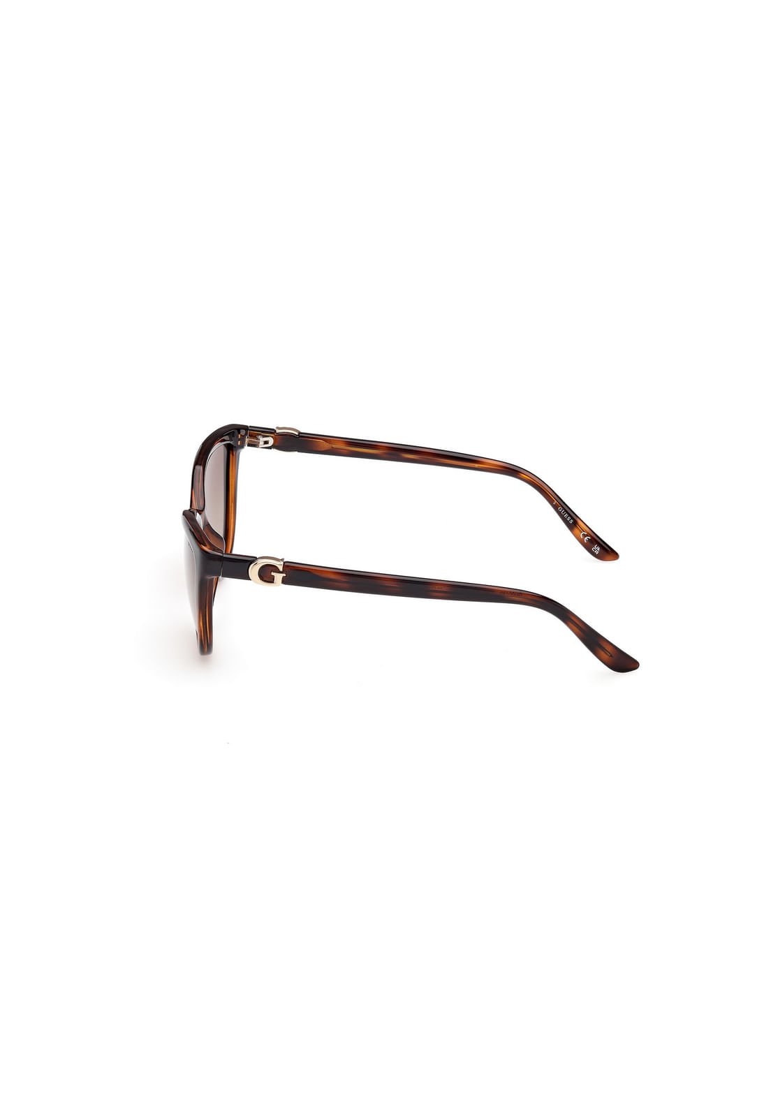 Óculos de Sol Gato Acetato Tartaruga Marrom Marrom 3