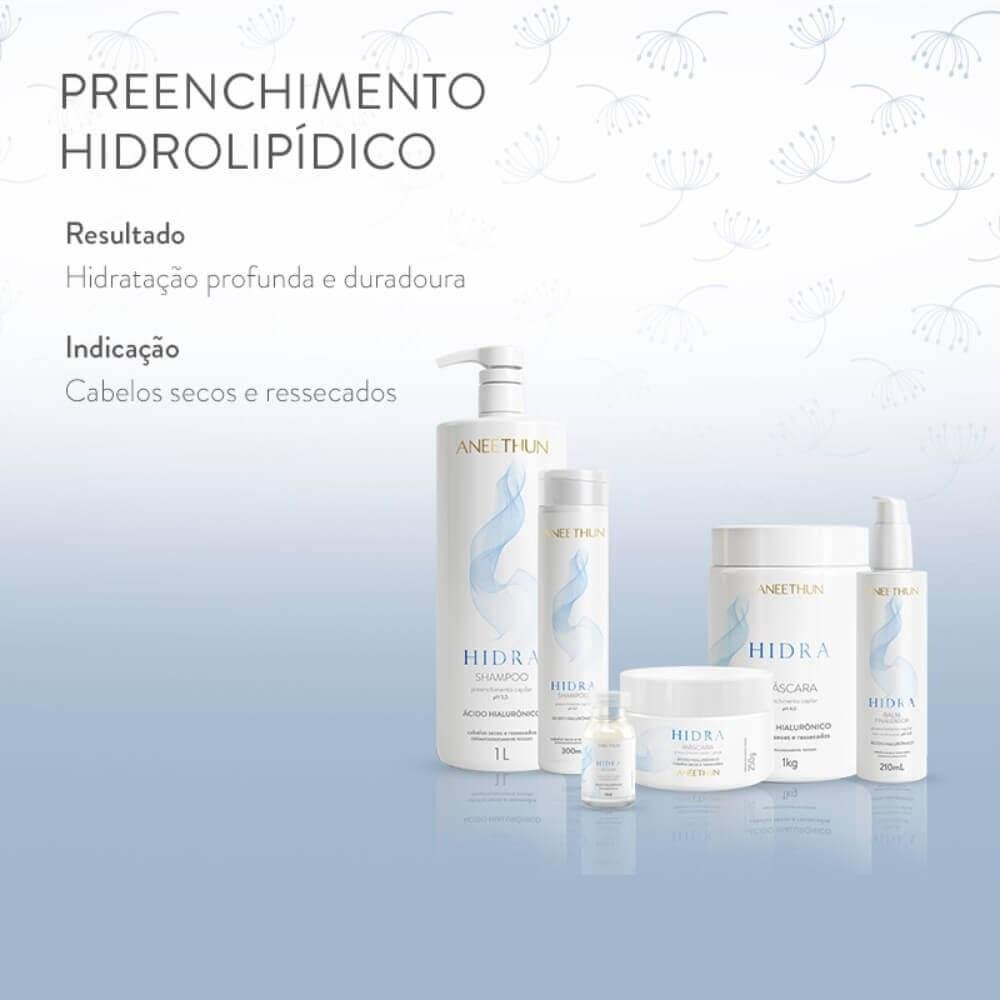 Aneethun Hidra Shampoo 300ml + Finalizador 210ml ÚNICO 3