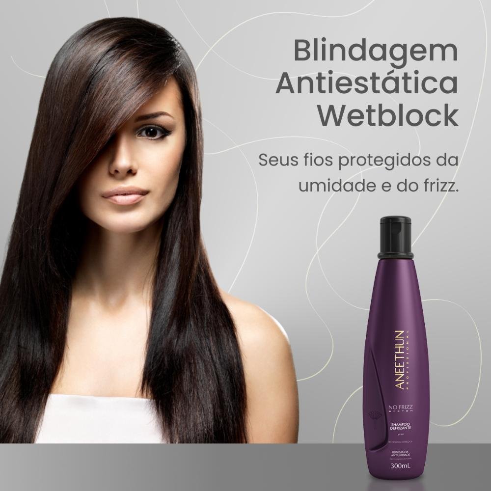 Shampoo Aneethun No Frizz Defrizante 300 ml 300ml 2
