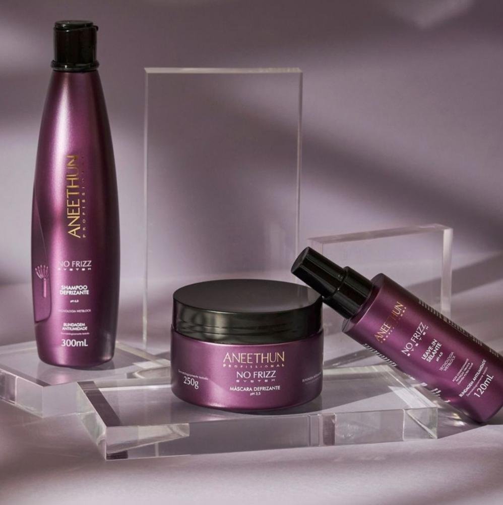 Shampoo Aneethun No Frizz Defrizante 300 ml 300ml 3