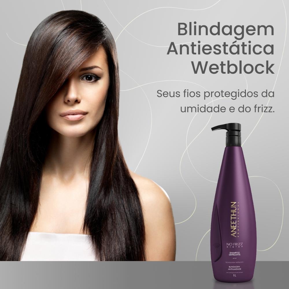 Shampoo Aneethun No Frizz Defrizante 1 Litro 1L 2