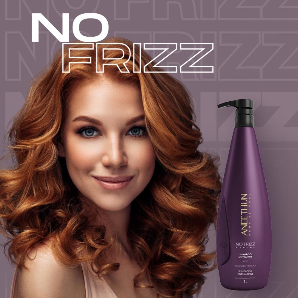 Shampoo Aneethun No Frizz Defrizante 1 Litro 1L 3