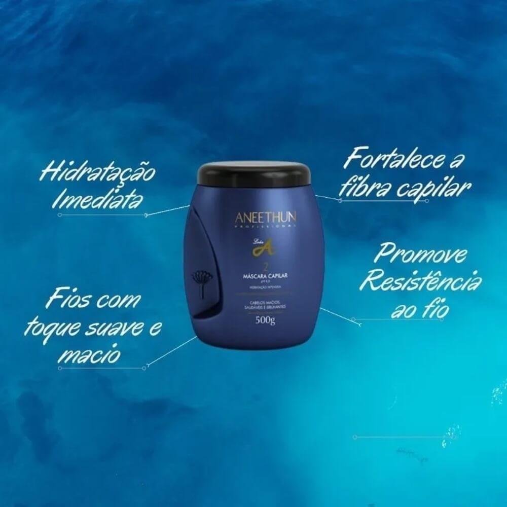 Kit Aneethun Linha A 3 Máscara Capilar 500 g 500g 2