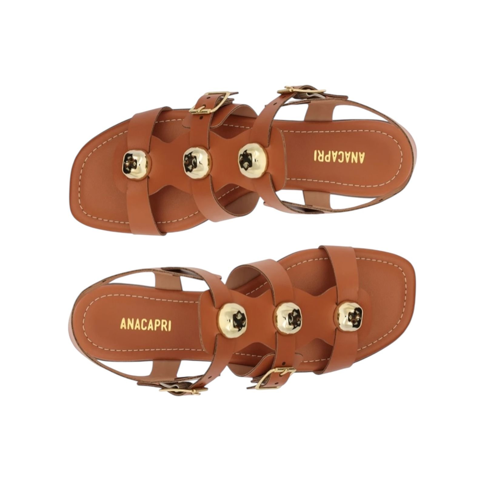 Sandalia Rasteira Feminina Anacapri Três Tiras Adornos Marrom Marrom 3