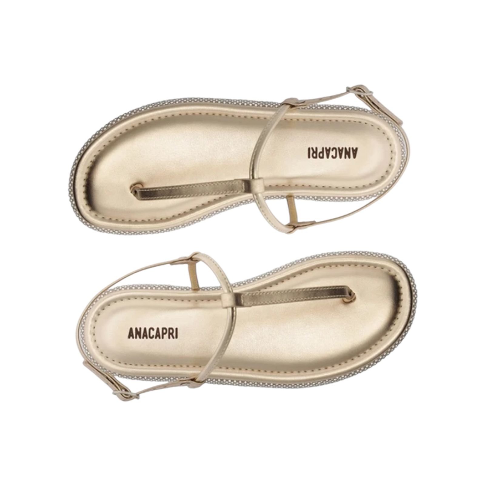 Sandalia Rasteira Feminina Anacapri Slim Sola Glam Dourada Dourado 4