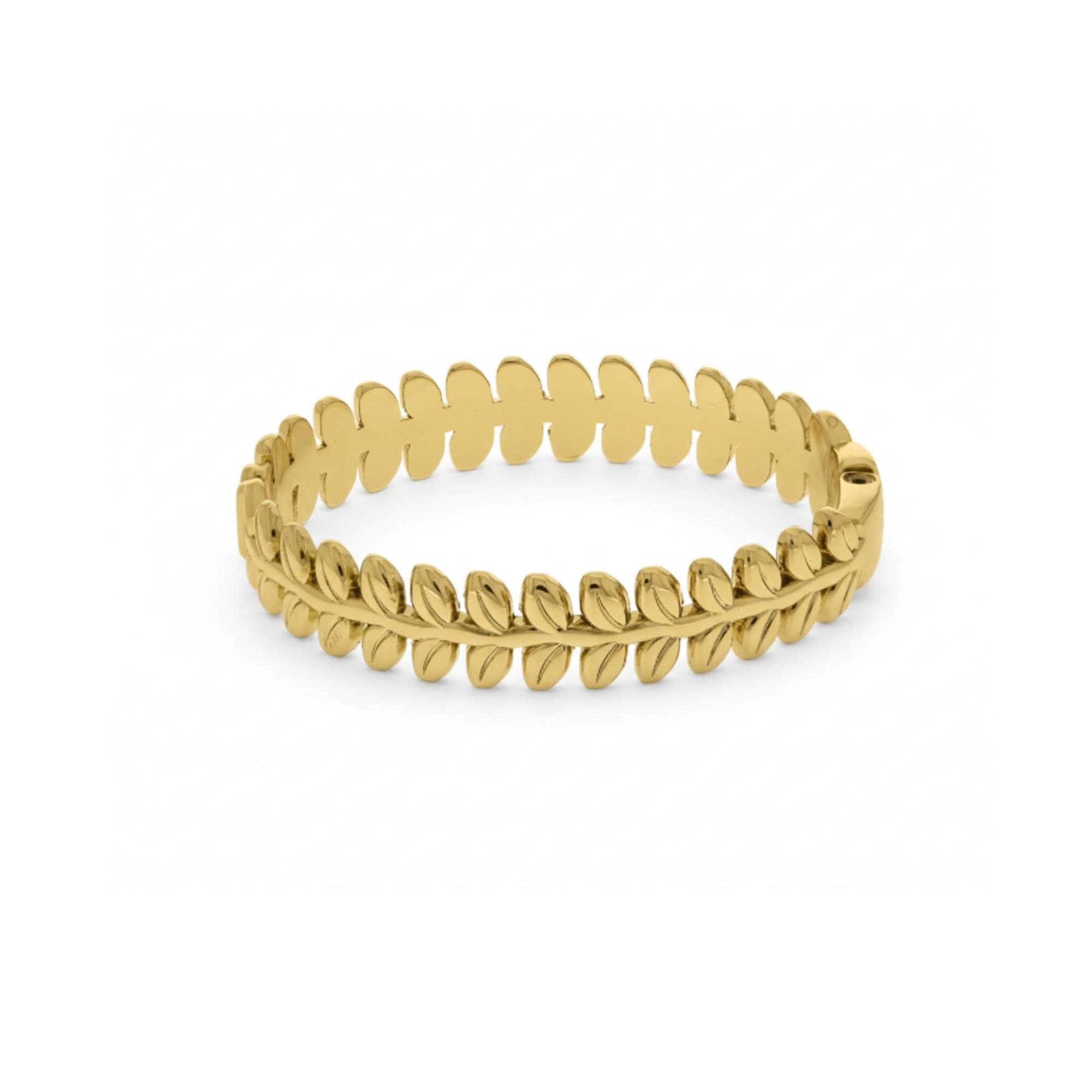Bracelete Folha de Ramos -  Banhado em Ouro 18k