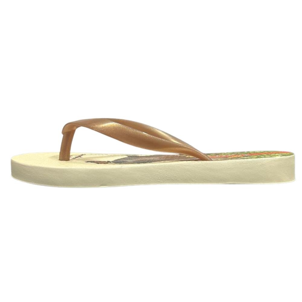 CHINELO IPANEMA TIRAS FINAS REF: 27469 MENINA Dourado 2